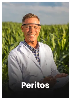 Peritos-4.webp